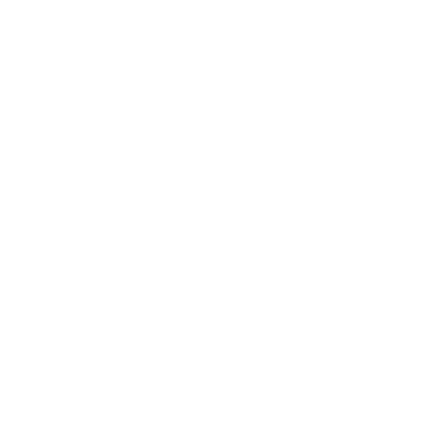 Team Vienna